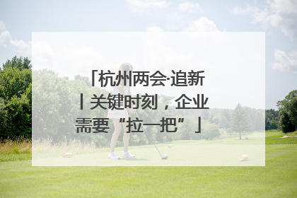 杭州两会·追新丨关键时刻，企业需要“拉一把”